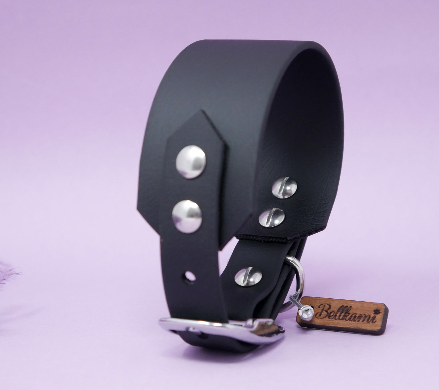 Biothane Halsband 'Greyhound'