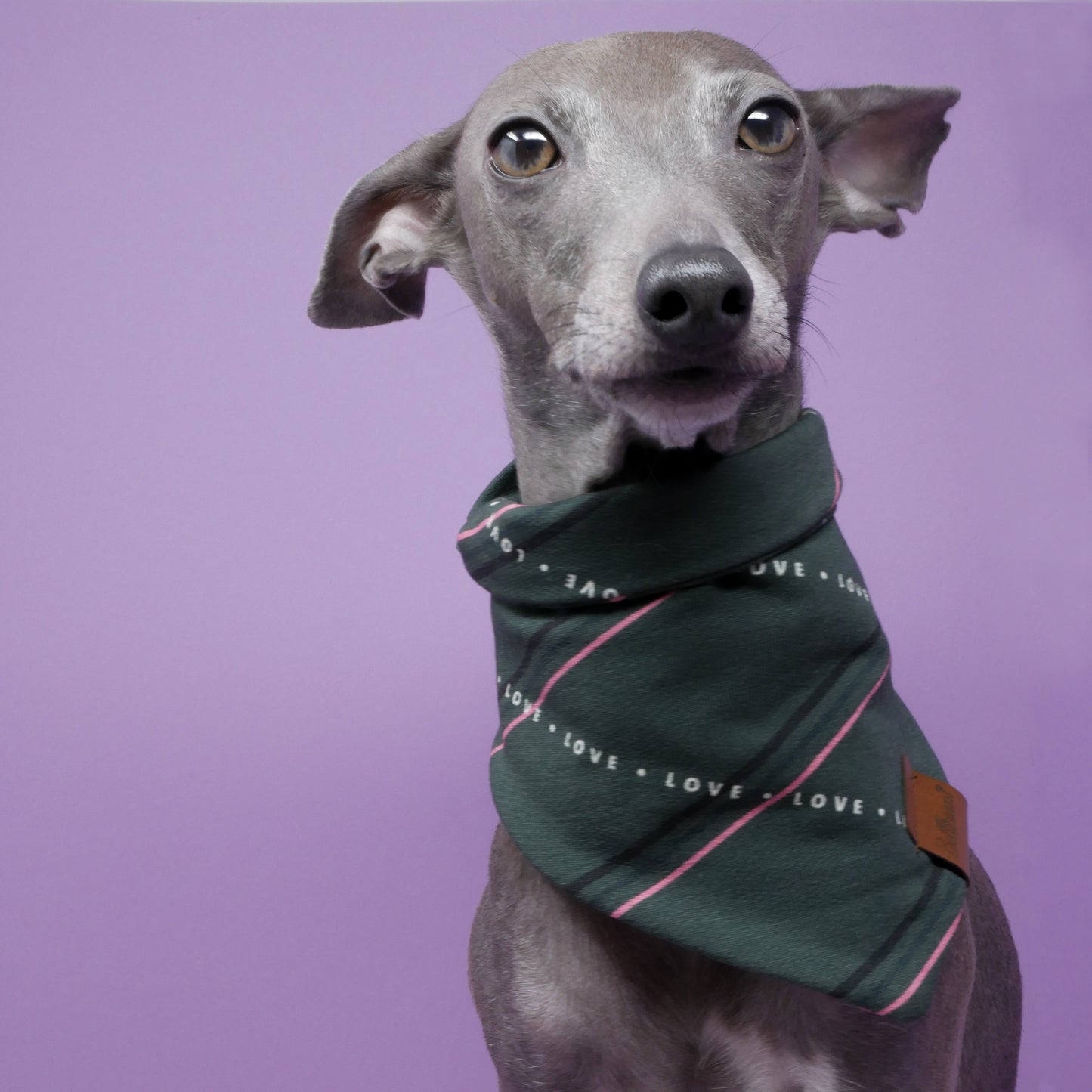 Bandana 'Love and Stripes'