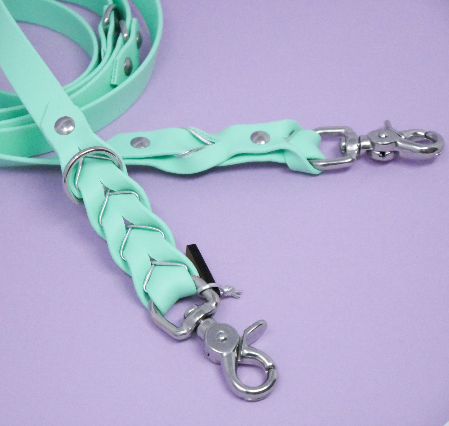 Biothane Leash Deluxe - Caribbean Green