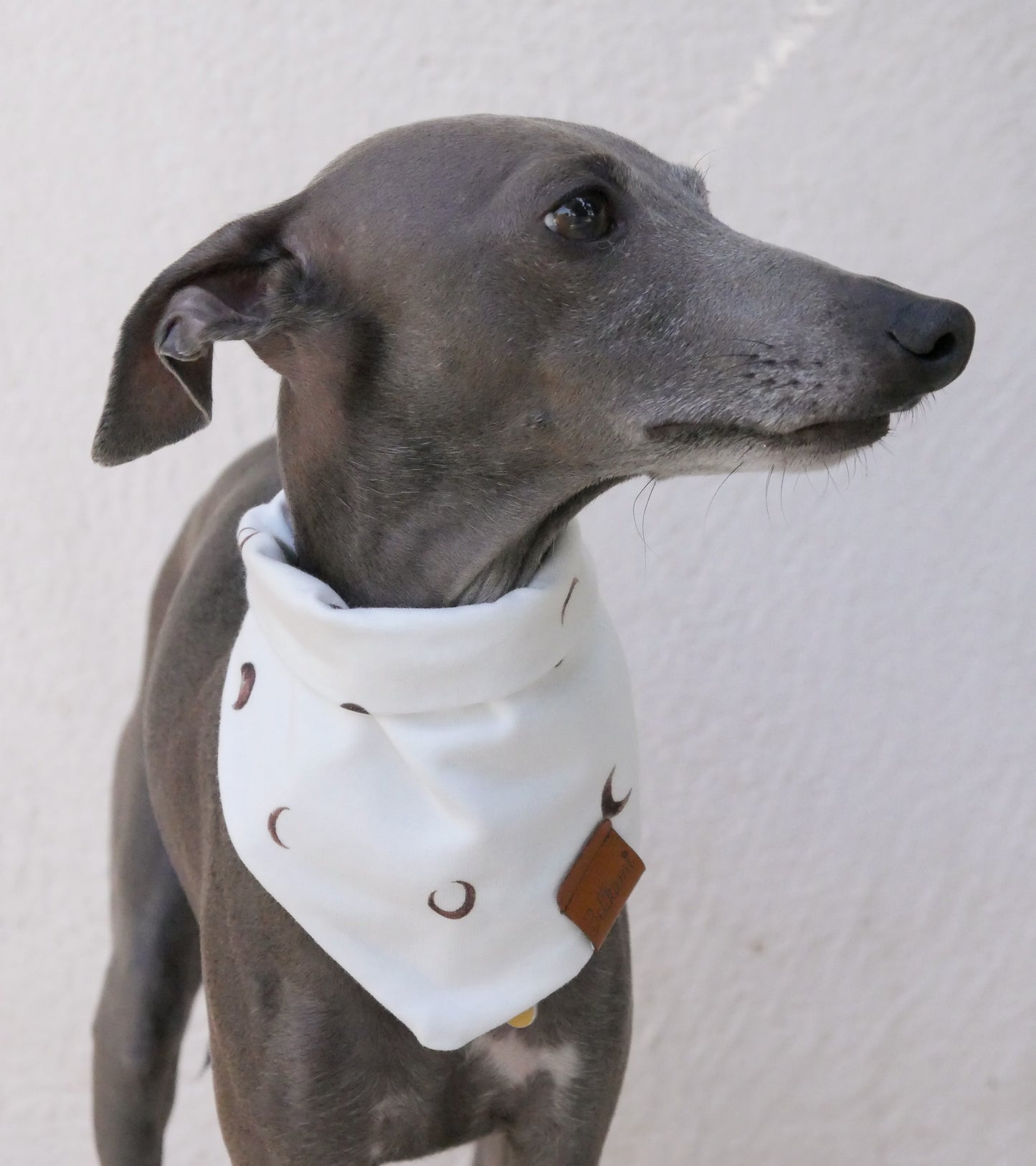 Bandana 'Lunar Night'