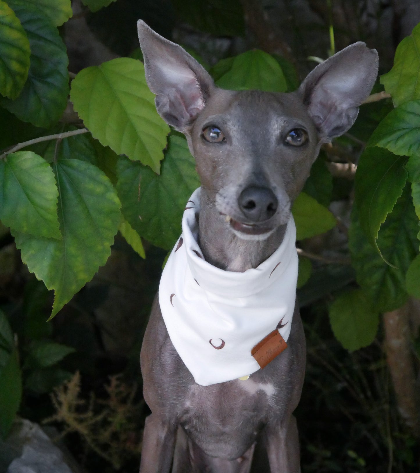 Bandana 'Lunar Night'