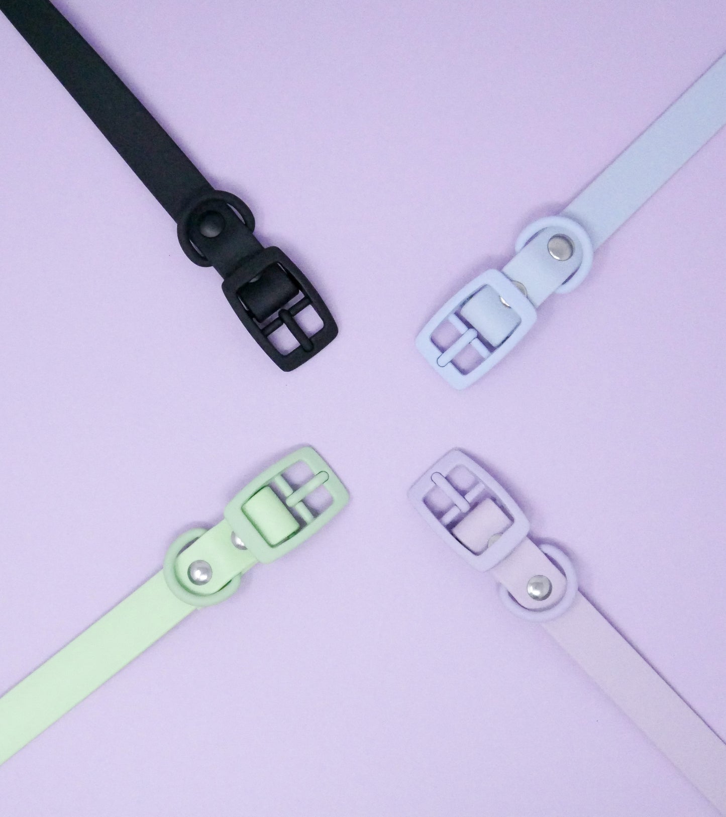 Halsband Biothane 'Colorful'