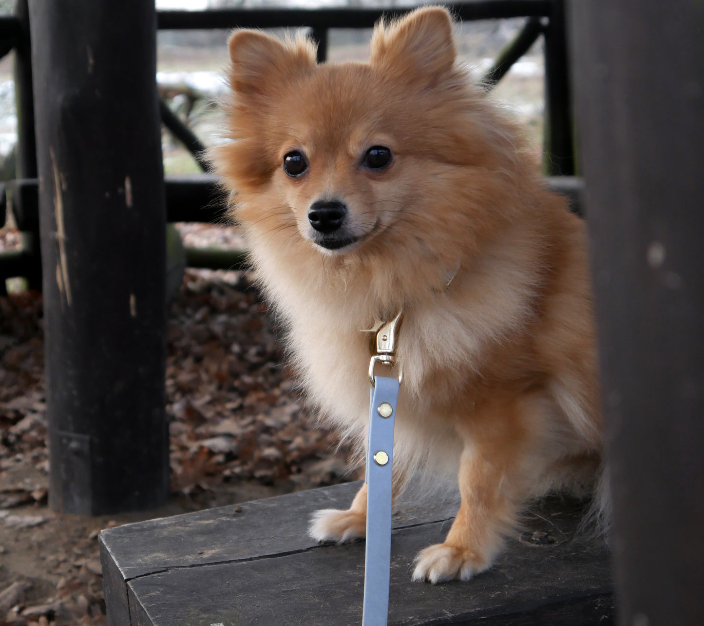 Biothane Leash Classy - City (adjustable)