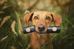 Biologisch abbaubare Hundekotbeutel