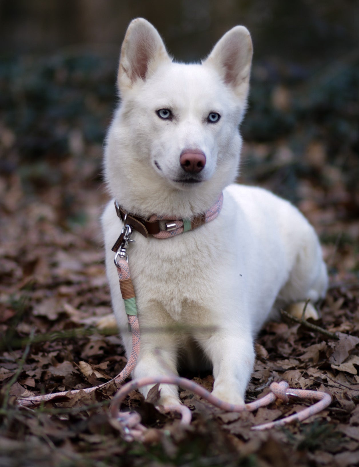 Rope Leash 'Traveller' - Pink