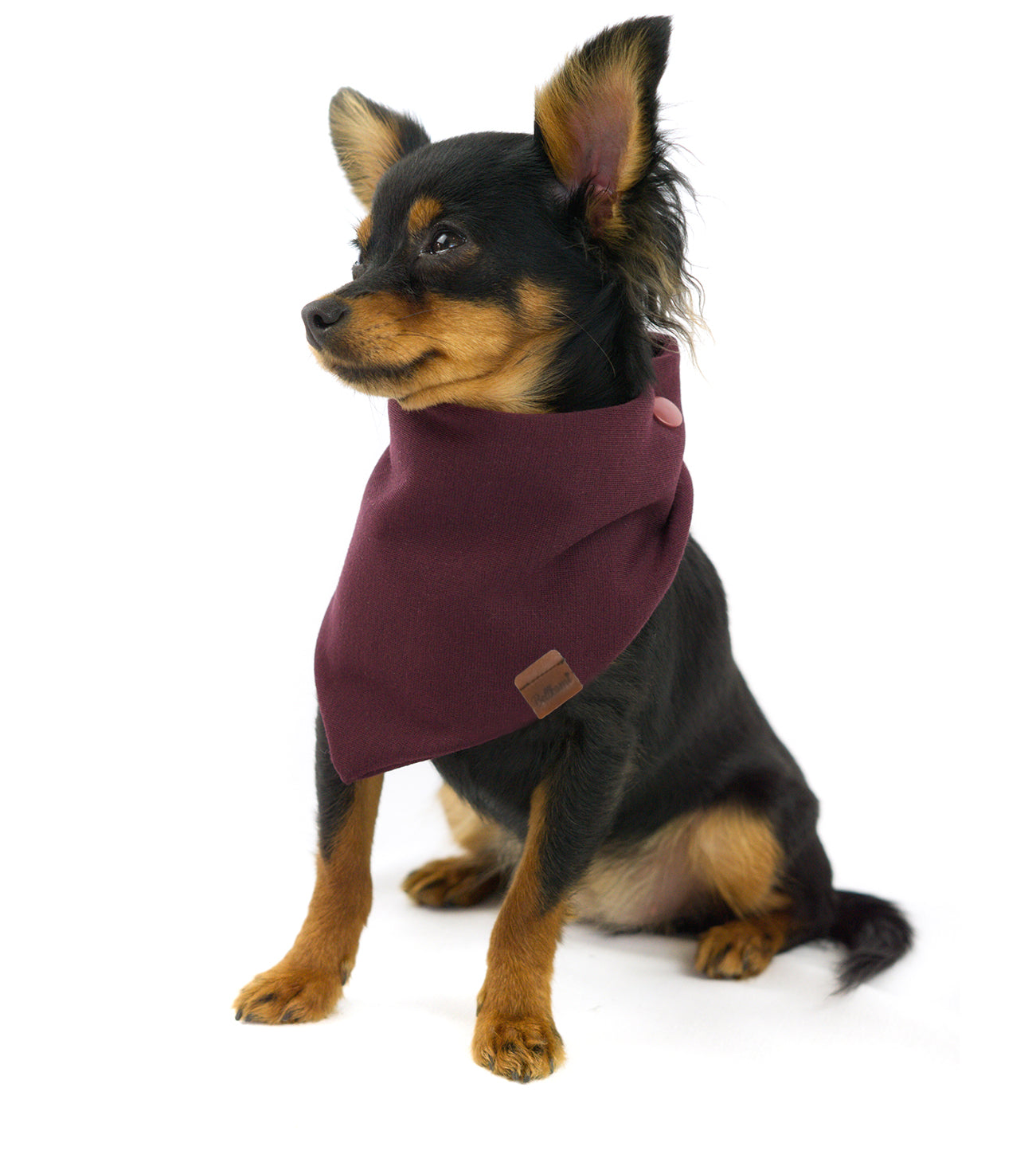 Bandana 'Très Chic Bordeaux'