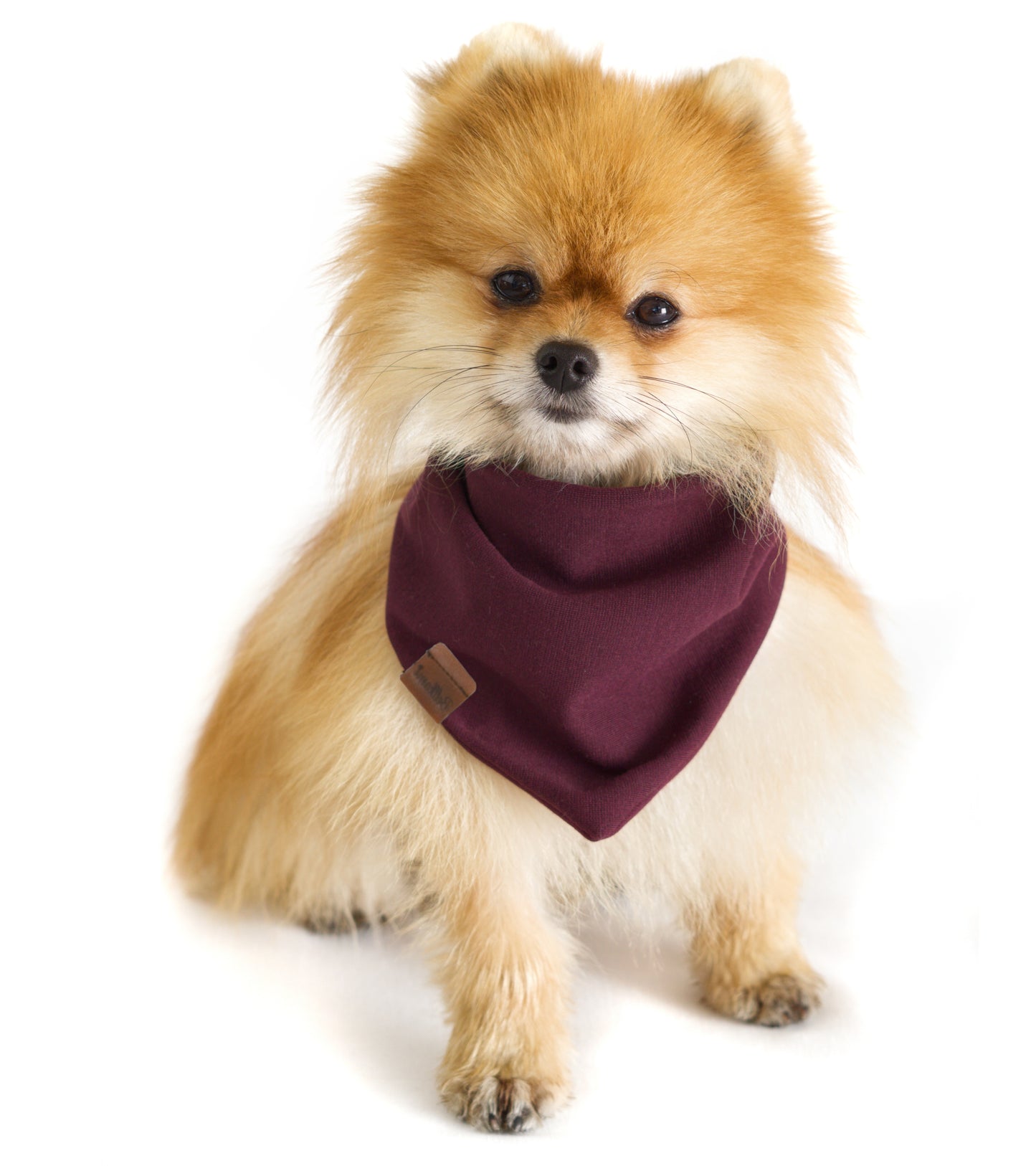 Bandana 'Très Chic Bordeaux'