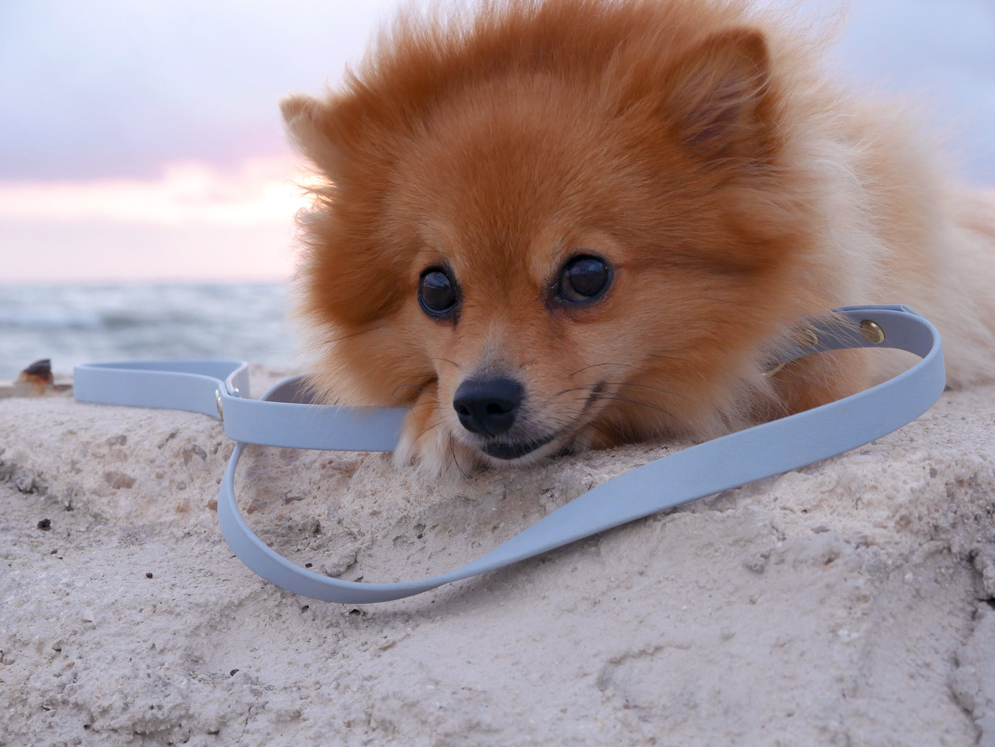 Biothane Leash Classy - Long (adjustable)