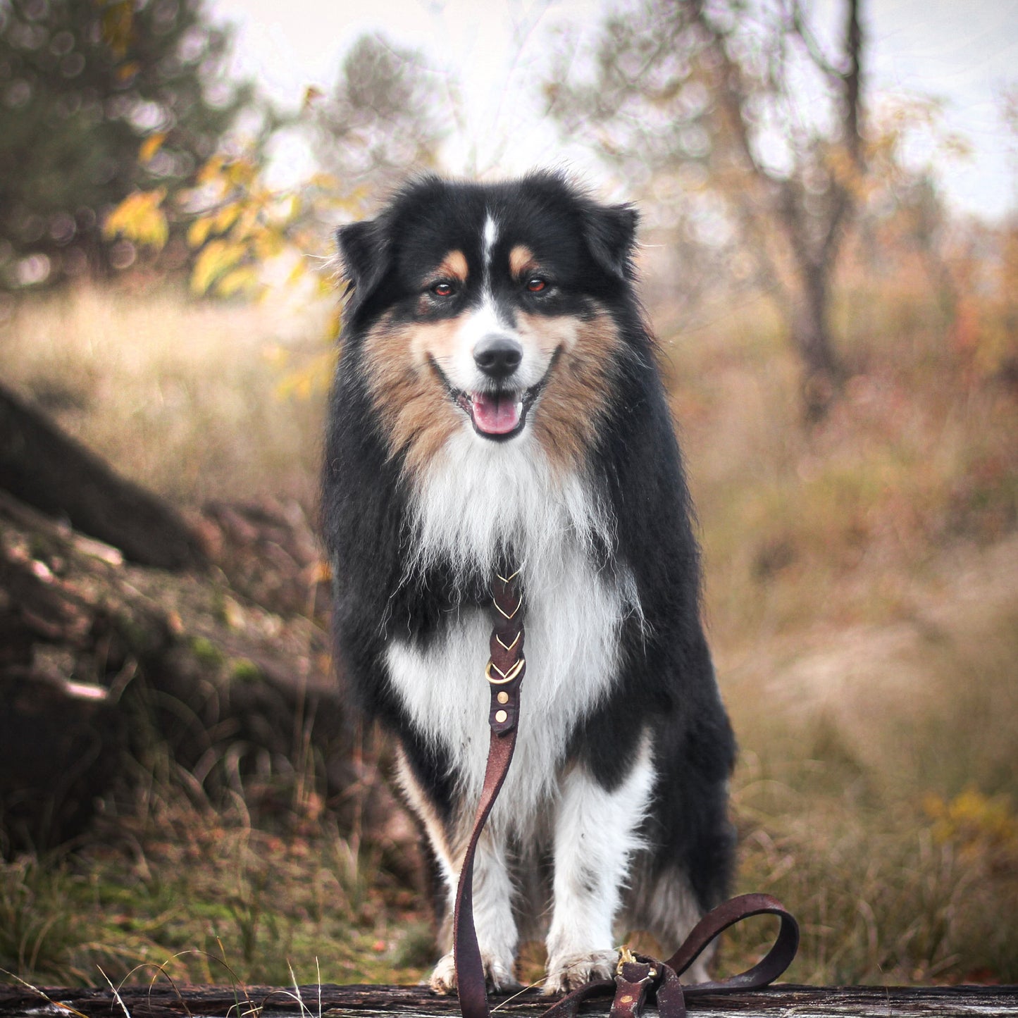 Leine Leather Deluxe