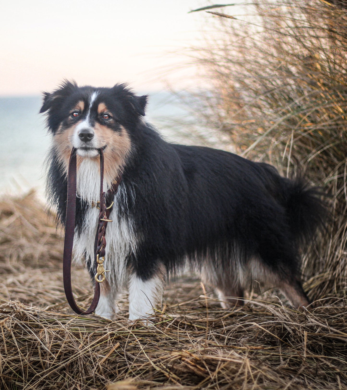 Leine Leather Deluxe