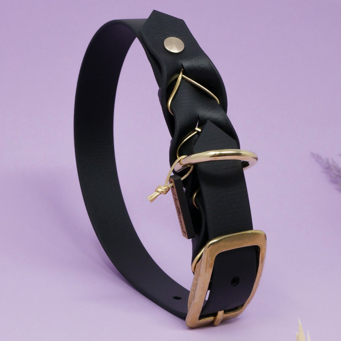 Biothane Halsband Deluxe - Schwarz