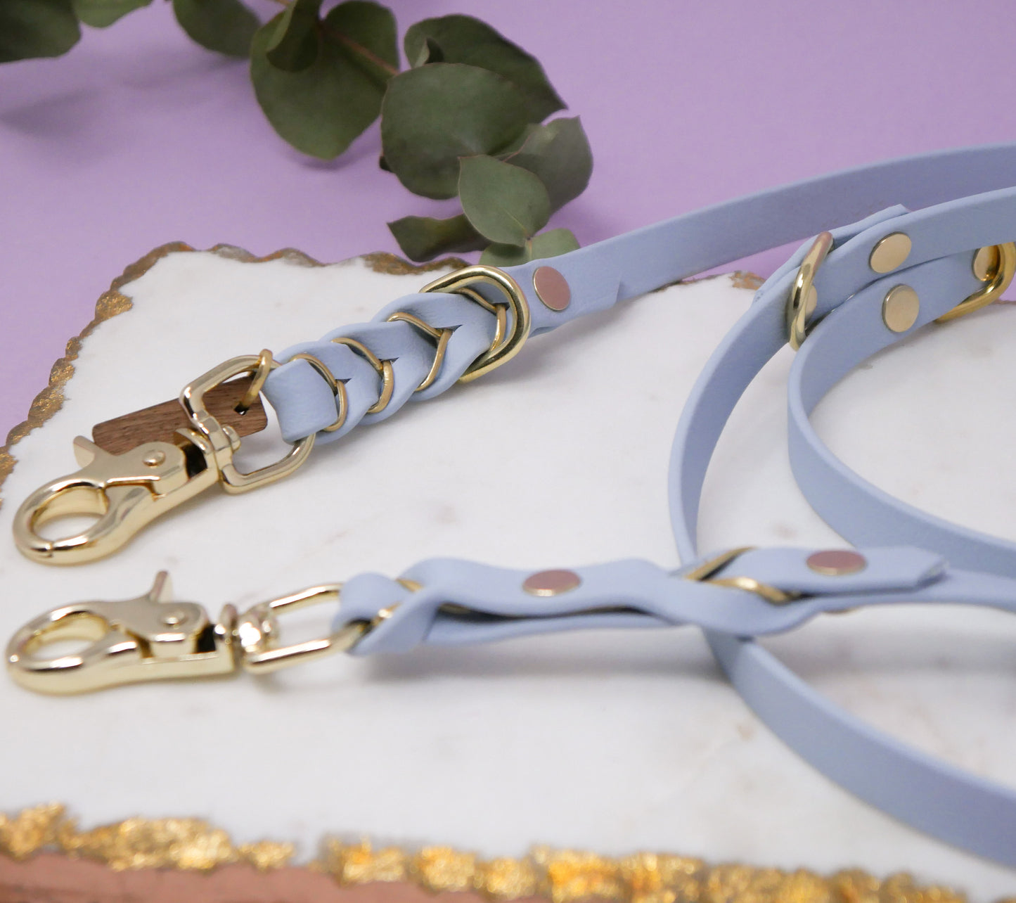 Biothane Leine Deluxe - Pastelblau