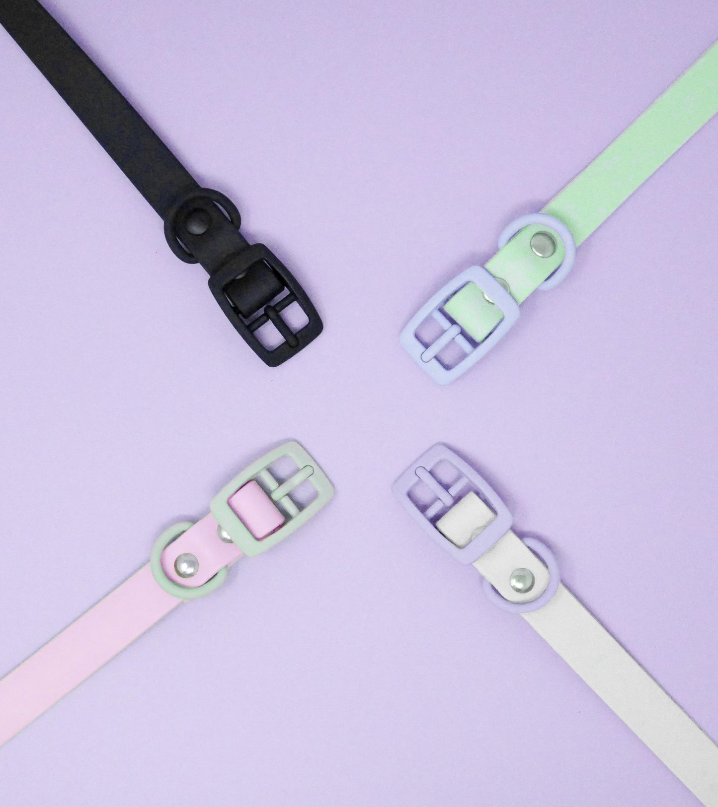 Halsband Biothane 'Colorful'