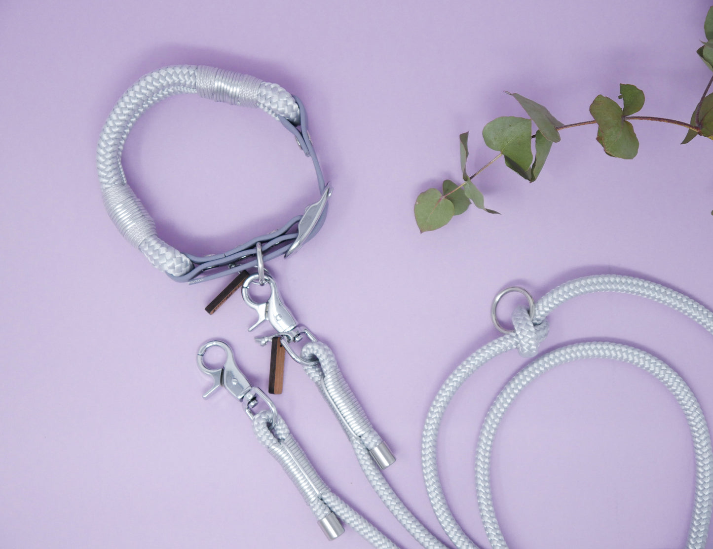 Tauleine 'Frozen Ice'