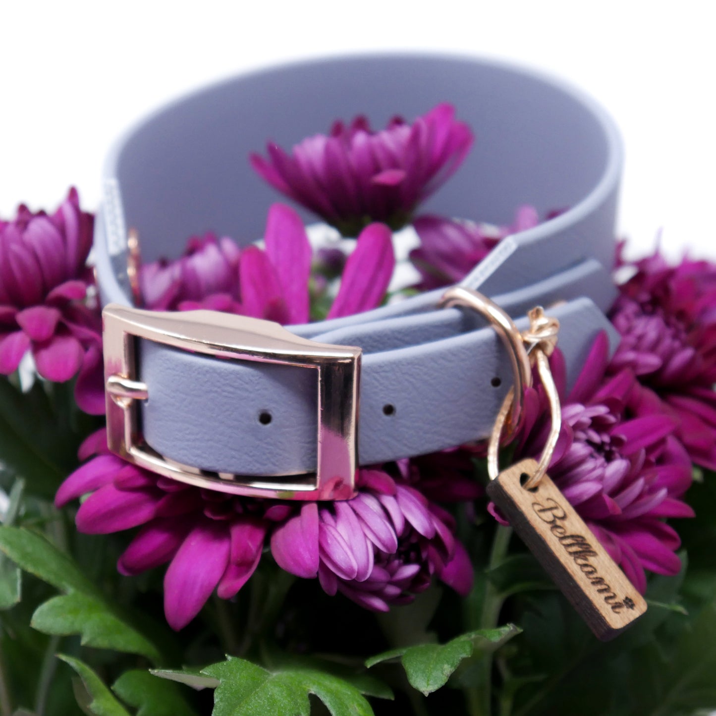 Biothane Halsband 'Greyhound'