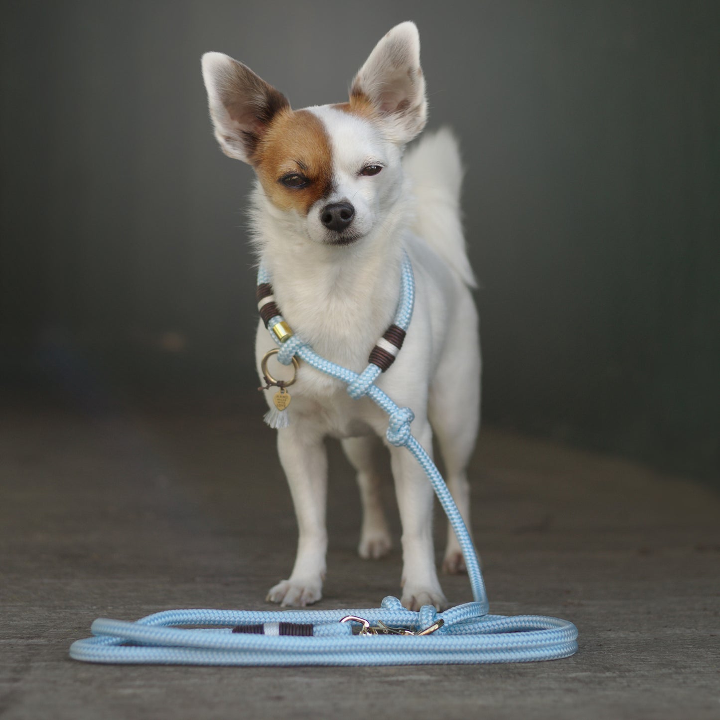 Rope retriever leashes