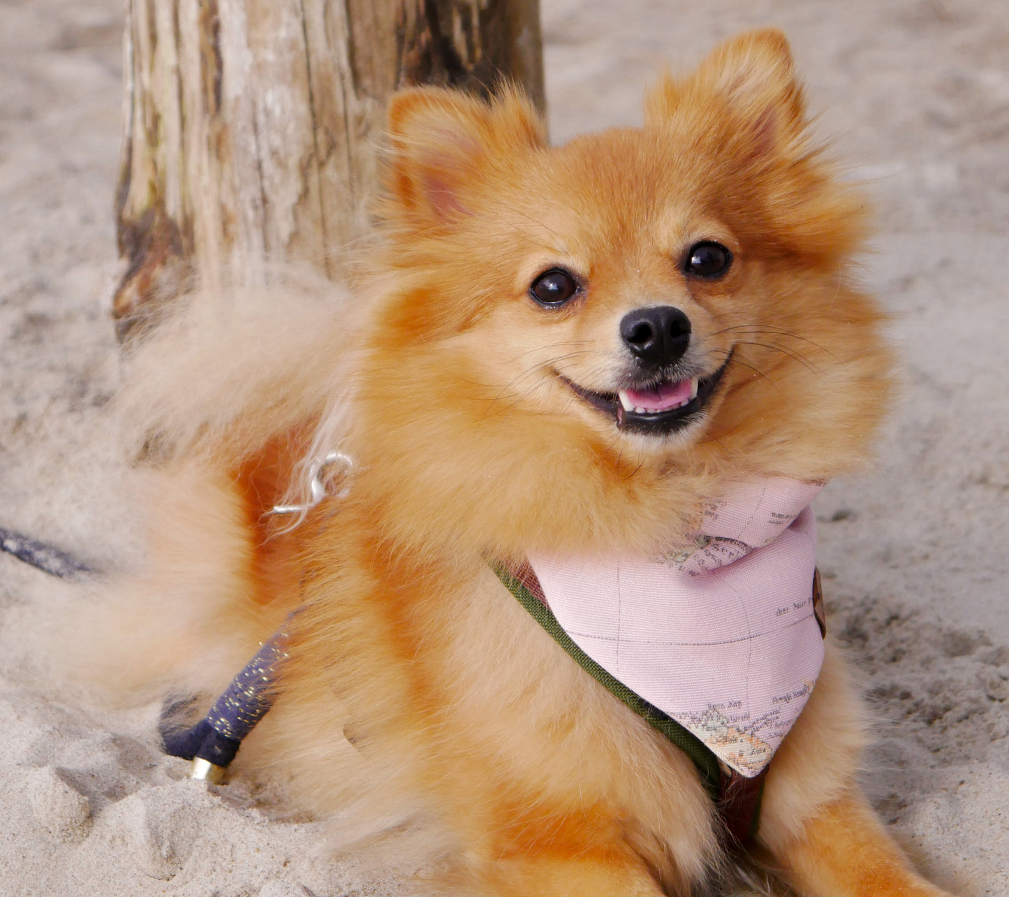 Bandana Traveller Rosa