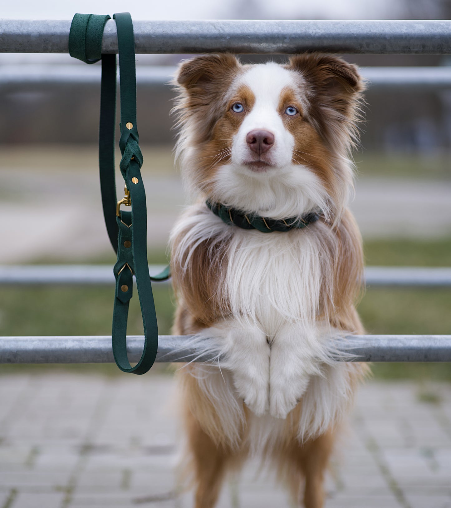 Leine Leather Deluxe