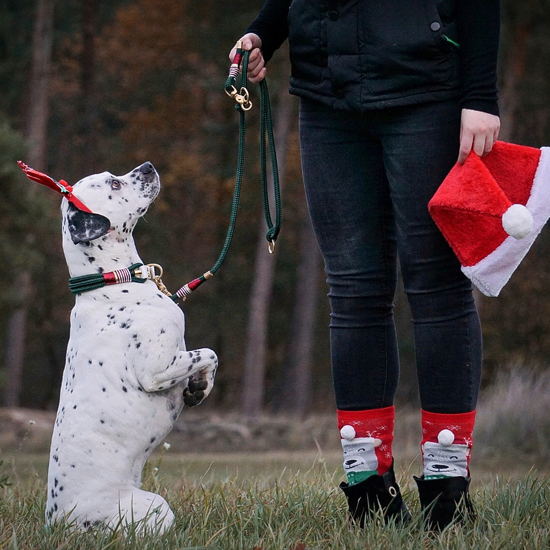 Tauleine 'Woofmas Classic'