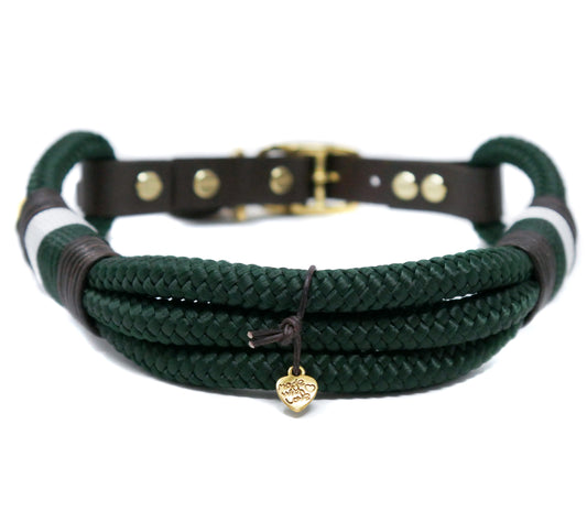 Tauhalsband Tropical