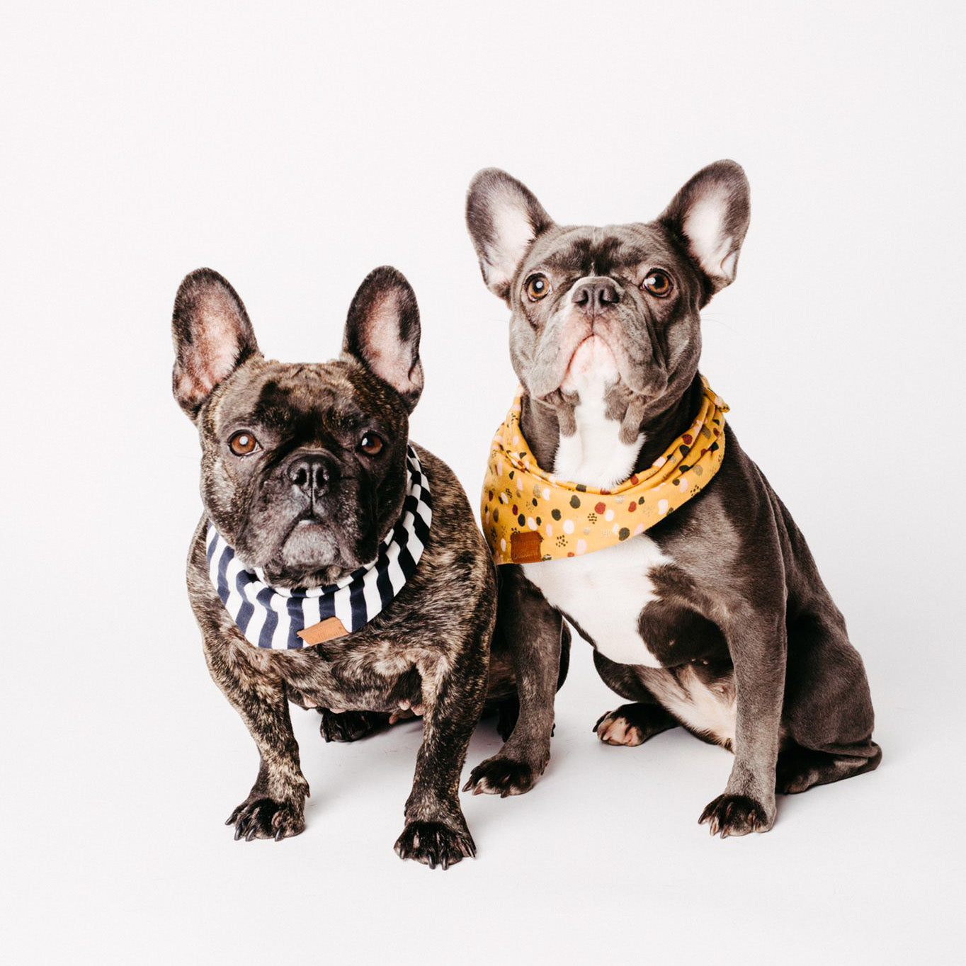 Bandana 'Lovely Autumn'