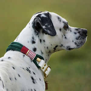 Rope Collar 'Woofmas Classic'